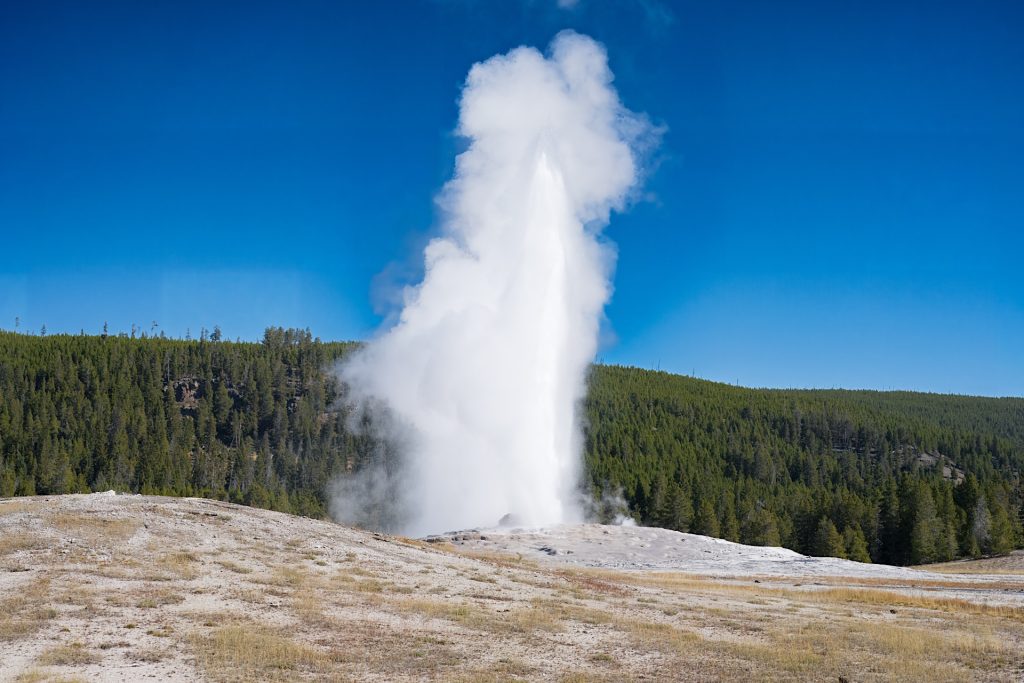 A geyser erupts, shooting water and steam into the air against a backdrop of blue sky and forested hills.