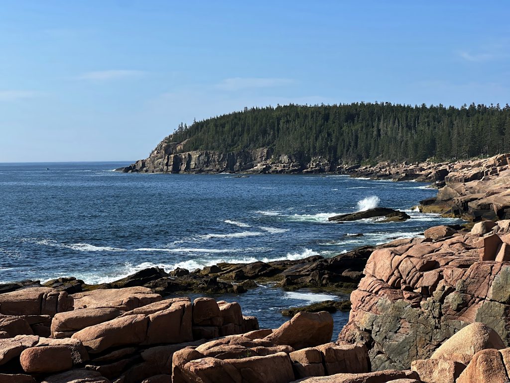 Rocky coastline with waves crashing against the shore and a forested cliff in the background under a clear blue sky.