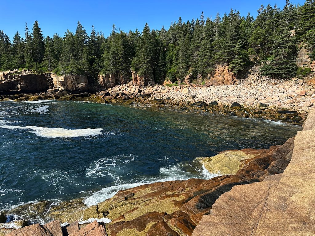 Rocky shoreline with waves crashing against the rocks, surrounded by dense pine trees under a clear blue sky.