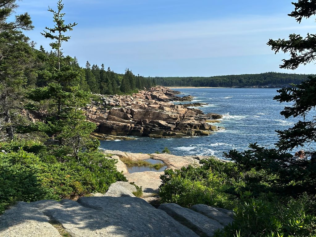 Rocky coastline with trees, overlooking the ocean under a clear blue sky. Rugged cliffs and a small sandy area are visible in the foreground.