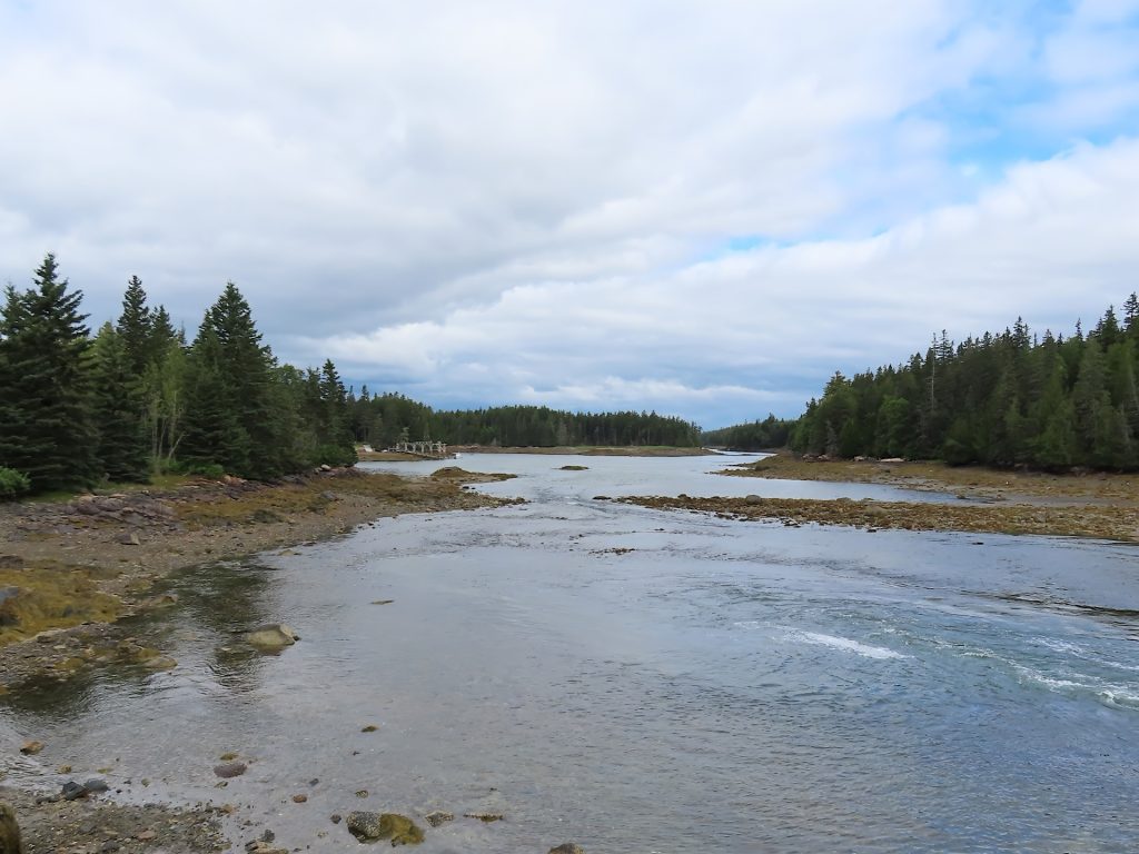 A river flows through a forested landscape under a cloudy sky, with evergreen trees lining both sides.