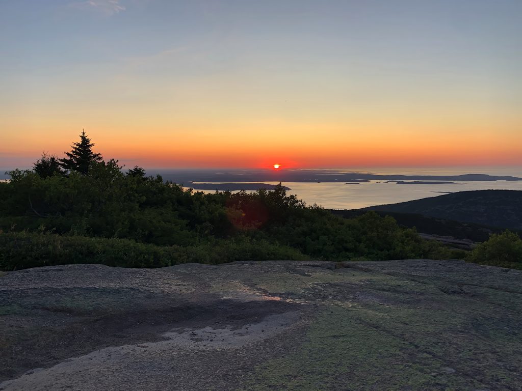 Sunrise at Acadia National Park Cadillac Mountain, with a foreground of green foliage and rocky terrain under a clear sky.