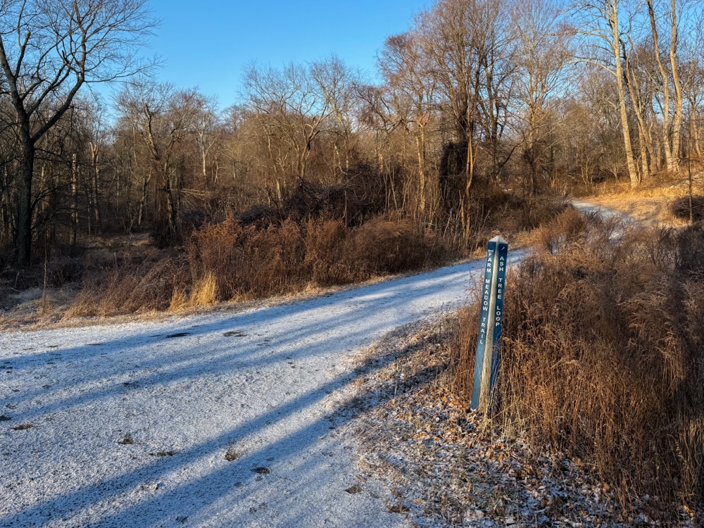 A frost-covered dirt path in a forested area splits in two directions, with a wooden post marking the fork. Bare trees are in the background under a clear blue sky.