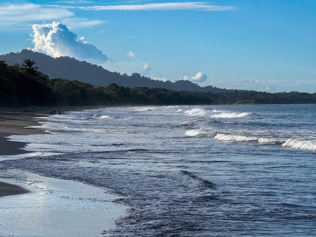 A serene beach with gentle waves and a distant treeline under a blue sky with clouds.