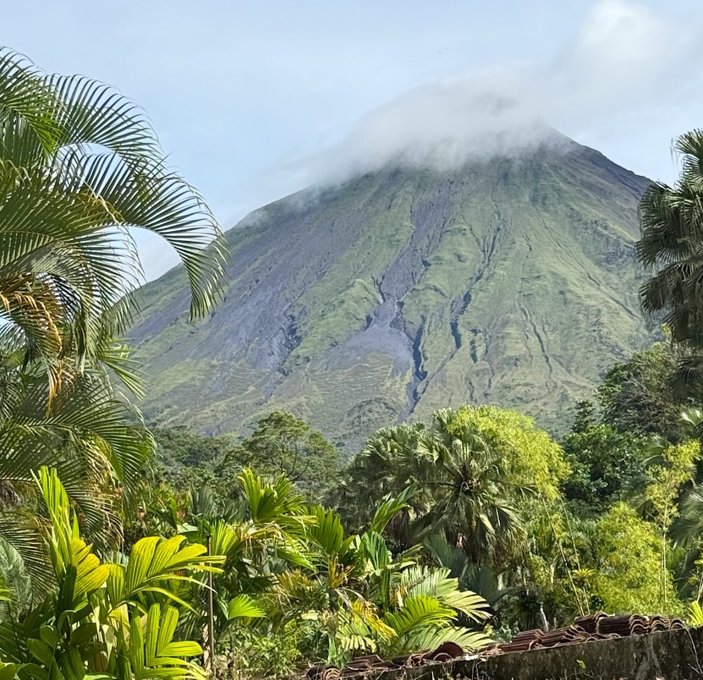 A lush volcano with a cloud-covered peak surrounded by green foliage and palm trees.