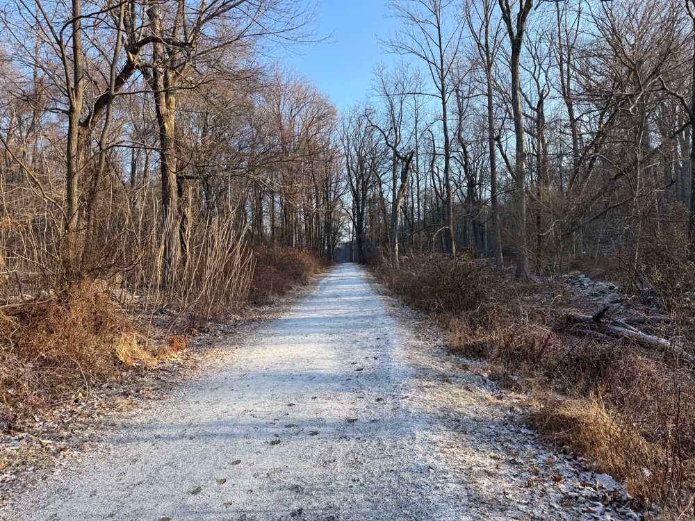 A snow-dusted path lined with bare trees on a clear winter day, receding into the distance.