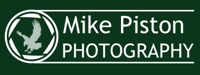 Logo of Mike Piston Photography with an eagle illustration inside a camera shutter icon on a dark green background.