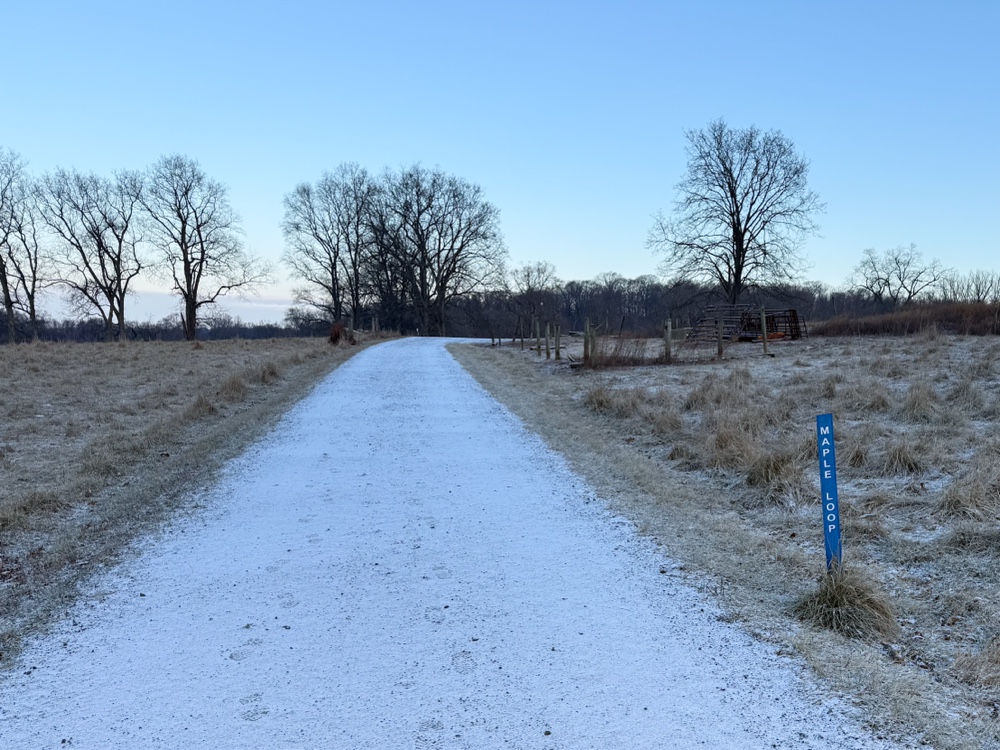 A frosty path flanked by open fields and leafless trees under a clear sky. A sign reads "Maple Loop.