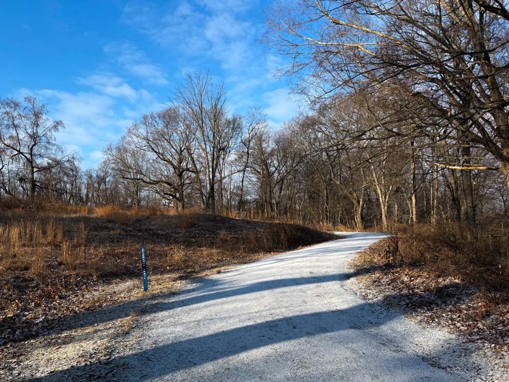 A sunlit, winding gravel path runs through a leafless forest under a clear blue sky. Shadows of bare trees stretch across the path.