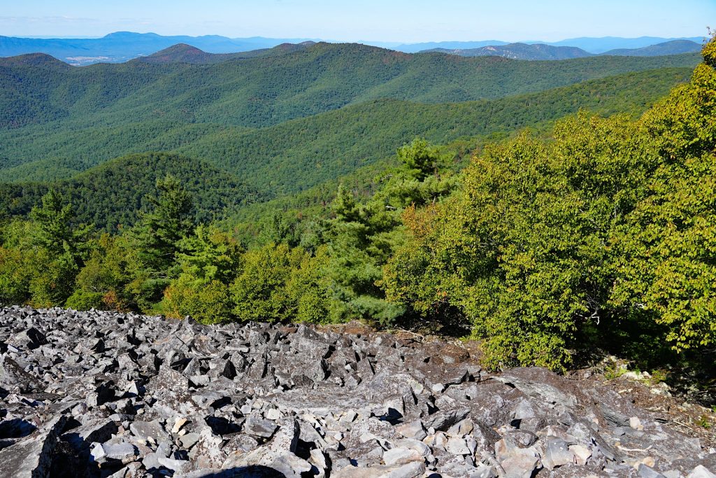 Rocky foreground with a forested mountain range in the background under a clear blue sky.