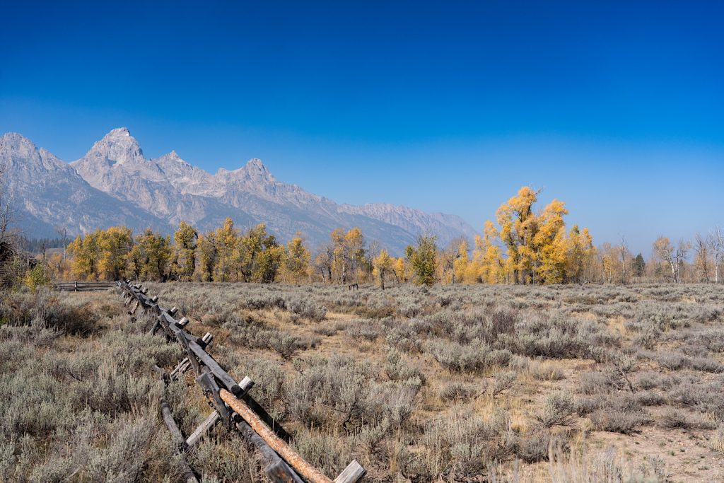 A rustic wooden fence runs through a dry field with yellow-leaved trees and distant mountains under a clear blue sky.