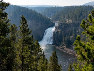 TETON + YELLOWSTONE - 011 A waterfall cascades into a river surrounded by lush pine forests and distant hills, with a bridge visible in the background.