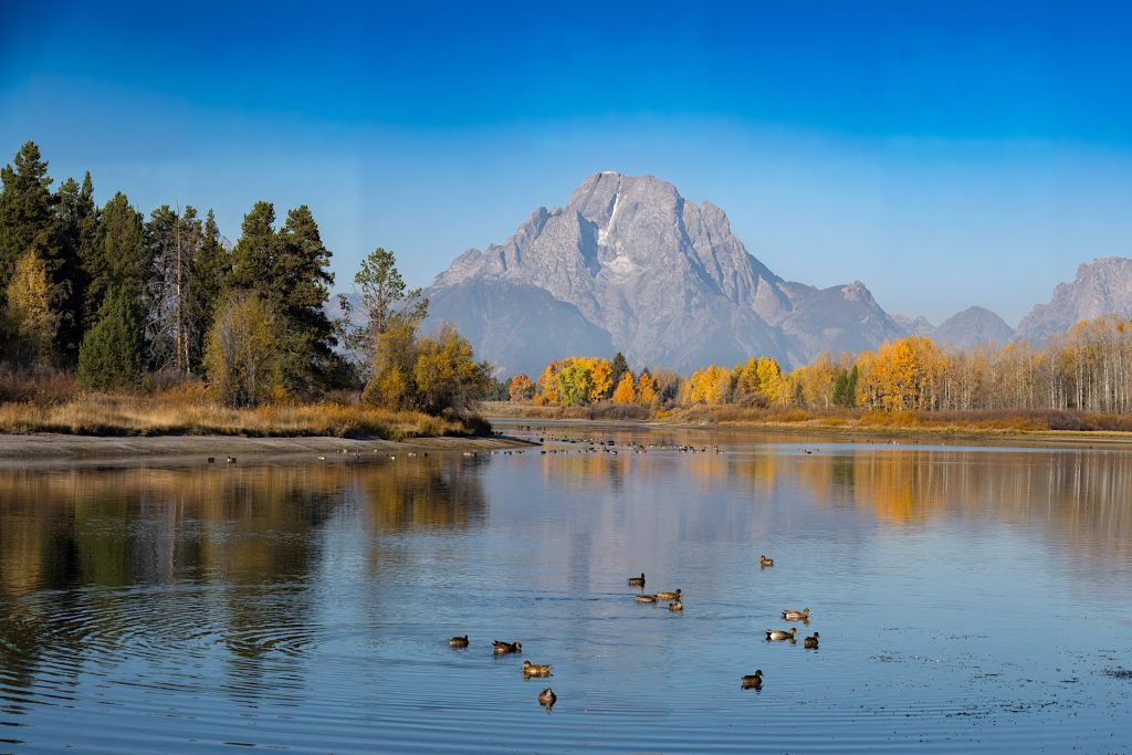 A serene lake with ducks in the foreground, surrounded by trees with autumn foliage, and a mountain under a clear blue sky in the background.
