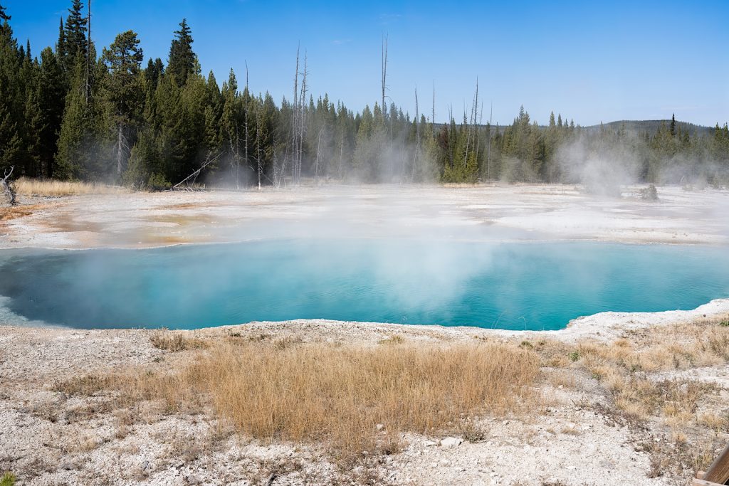 A steaming hot spring in a natural landscape, surrounded by trees and dry grass, with a clear blue sky above.