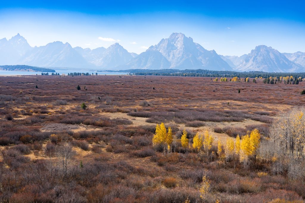 Open field with autumn foliage and yellow trees in the foreground. Mountain range and lake visible in the background under a clear blue sky.