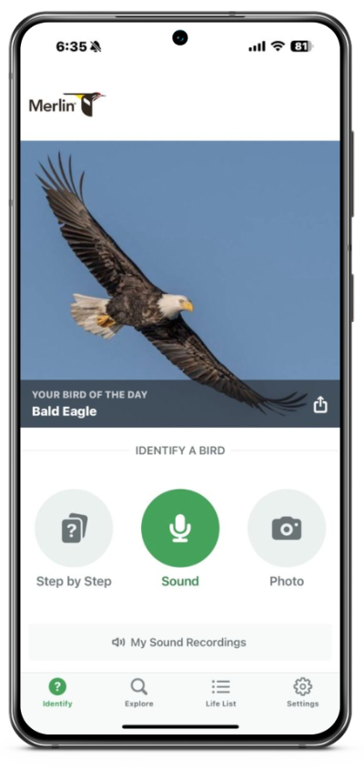 Smartphone displaying a bird identification app, featuring a bald eagle as the bird of the day. Options include sound, step-by-step, and photo identification.