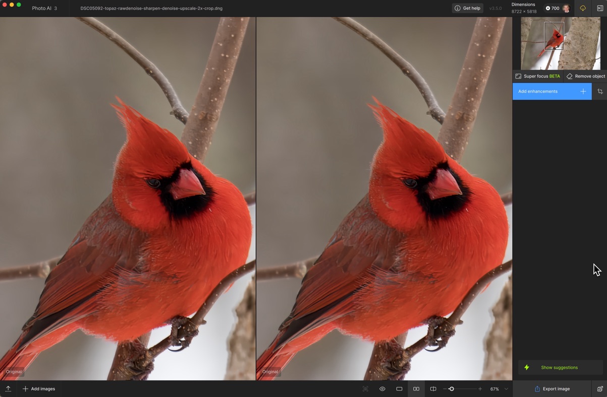 Two images of a bright red cardinal perched on a branch, with subtle differences in sharpness and detail between them.